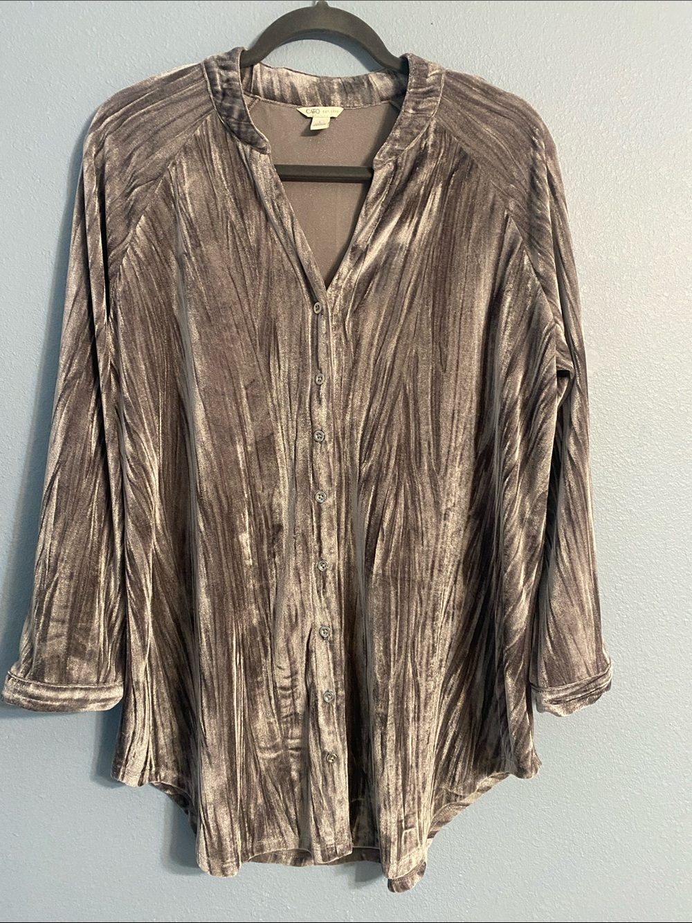 Cato Silver Crushed Velvet Button-Down Top